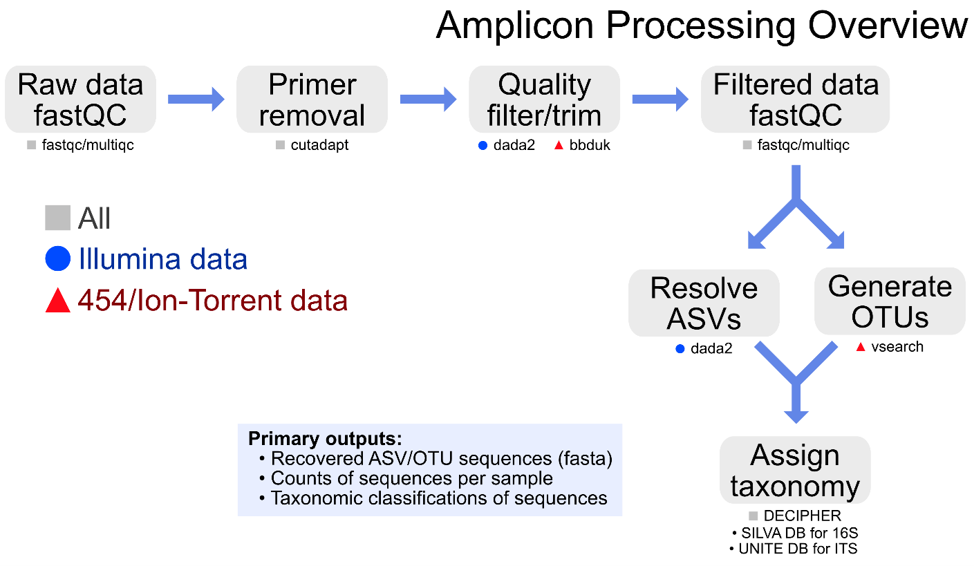 Amplicon sequencing processing workflow