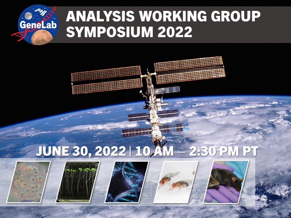 AWG Symposium 2022