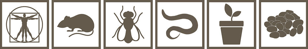 GeneLab model organism icons
