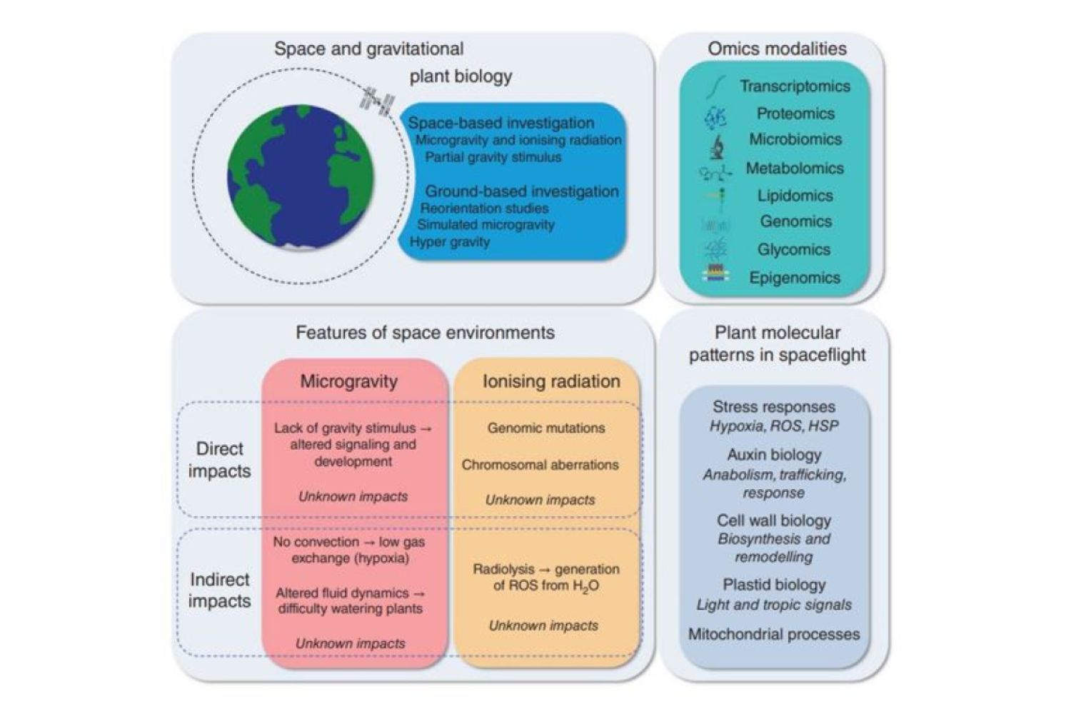 Overview of plant biology in space.