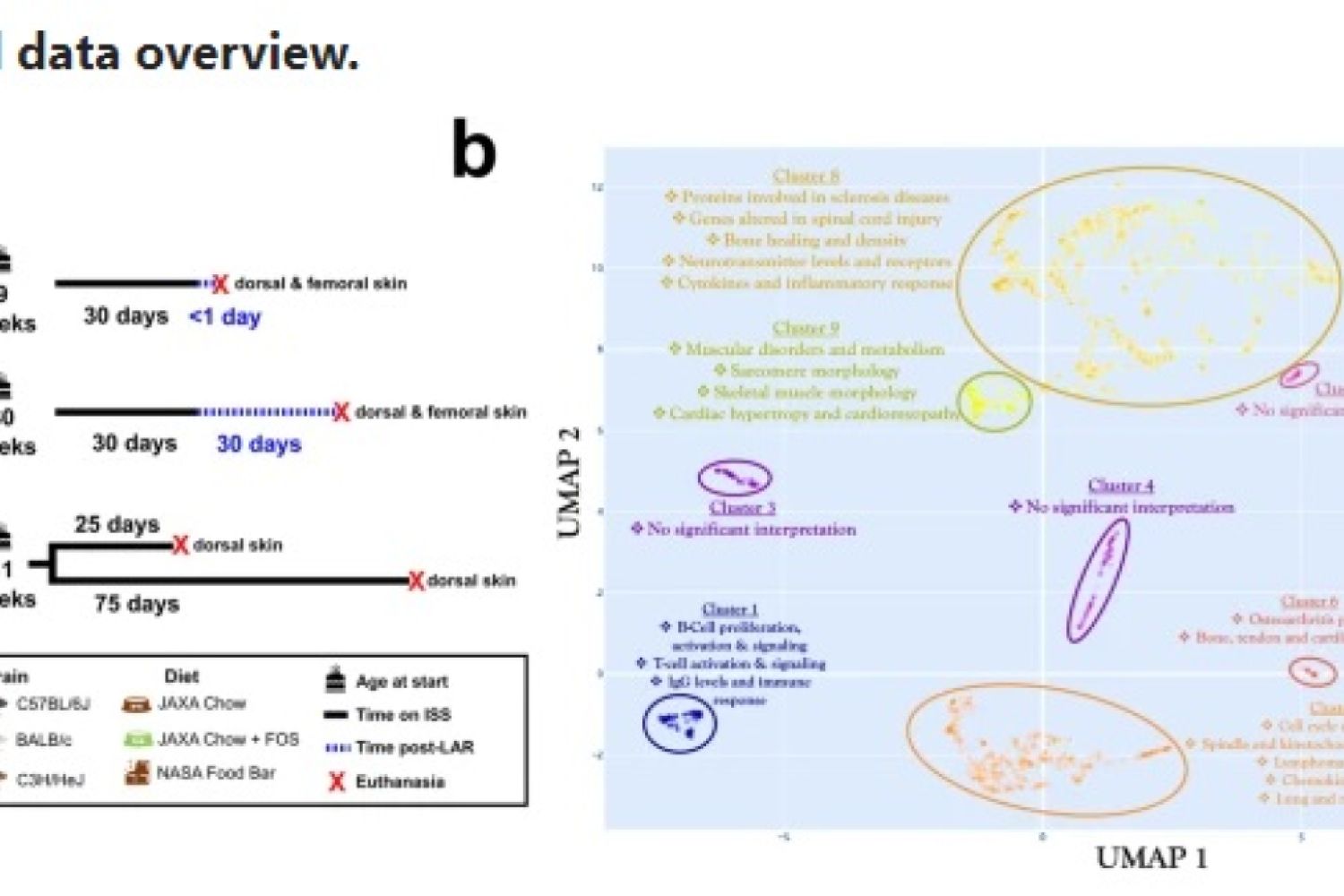 a Breakdown of the rodent datasets used in this study. b Clustering of the most variable genes within the rodent datasets with functional annotation.