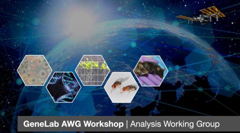 awg workshop flyer