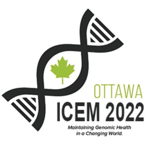ICEM 2022 logo