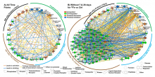 network of key genes for analysis