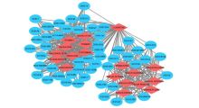 Disease Drug Network (Red nodes—Drugs, Blue nodes—Diseases)