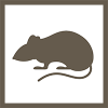 Rodent icon