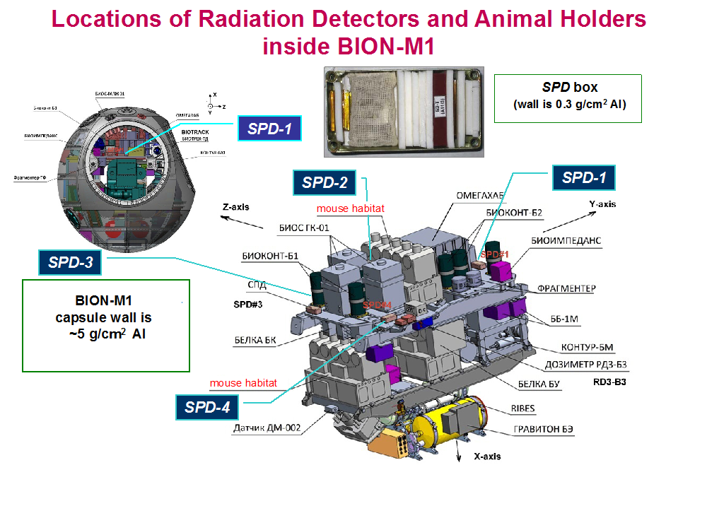 locations of Radiation Detectors and Animal Holders inside BION-M1