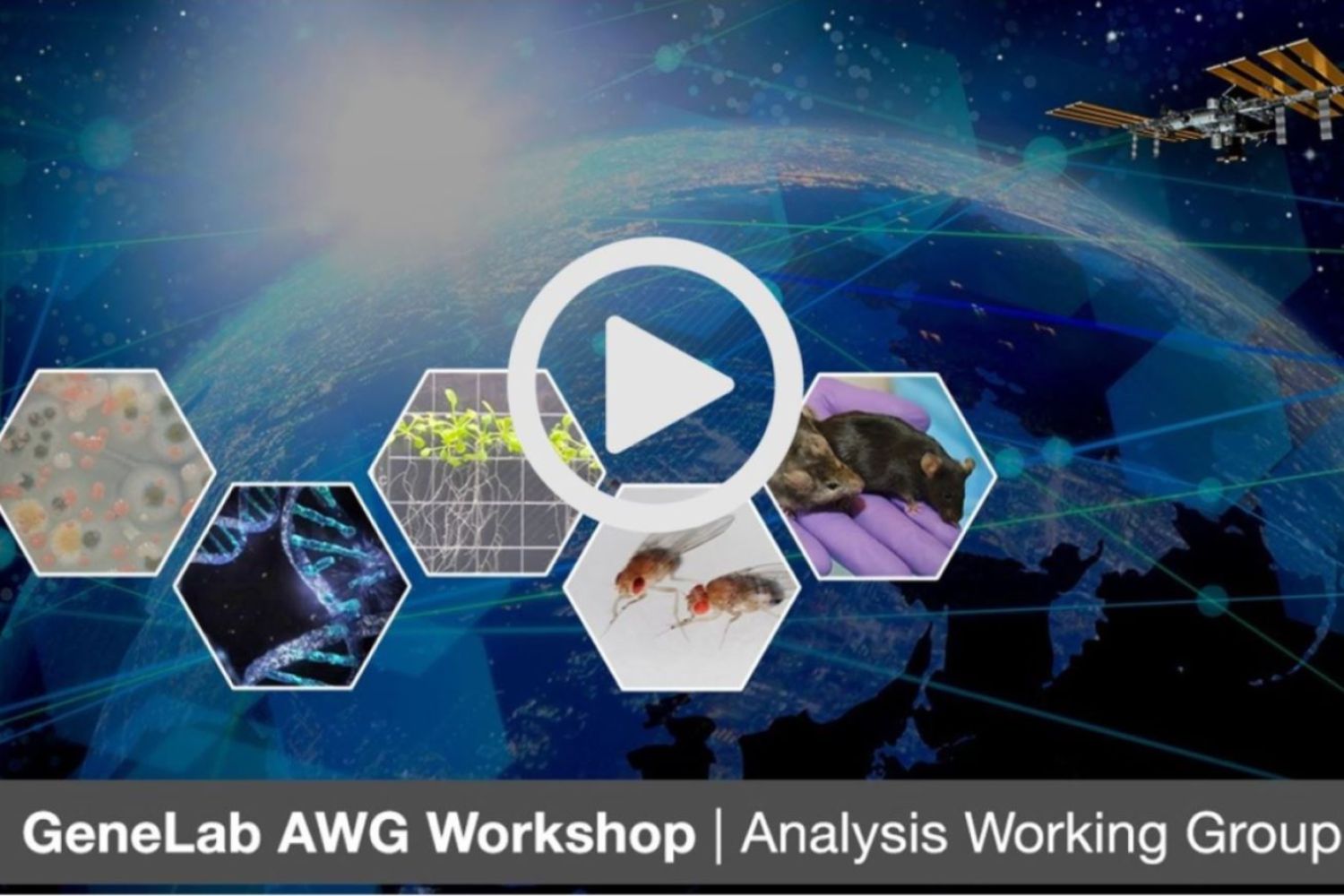 2021 AWG Workshop Logo