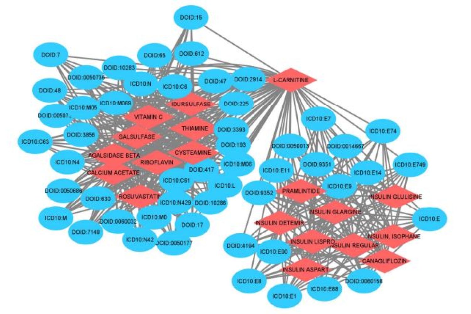 Disease Drug Network (Red nodes—Drugs, Blue nodes—Diseases)