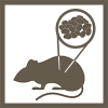 Rodent Gut Microbiome Icon