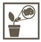 Microbes on Plant Icon